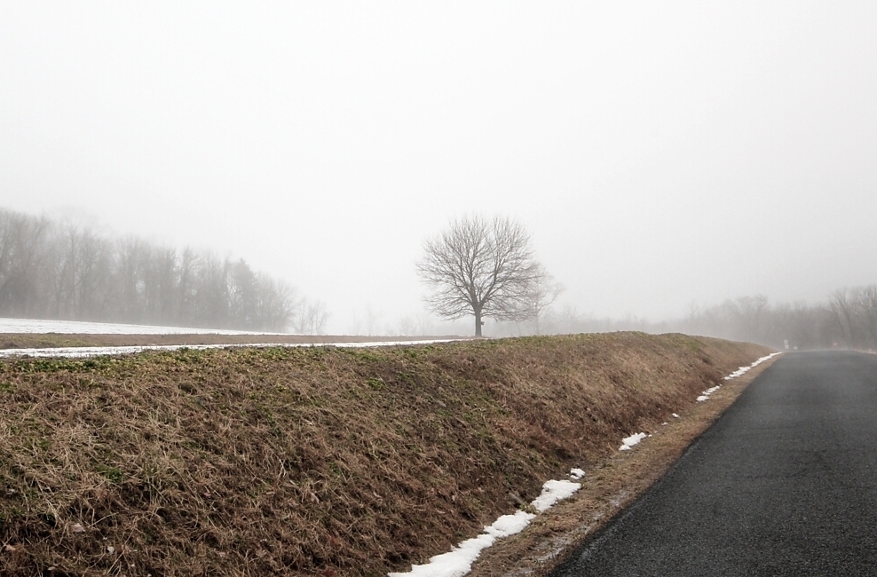 Solitary