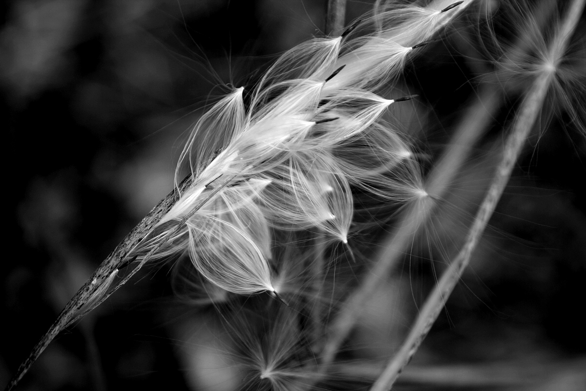 Grayscale-07