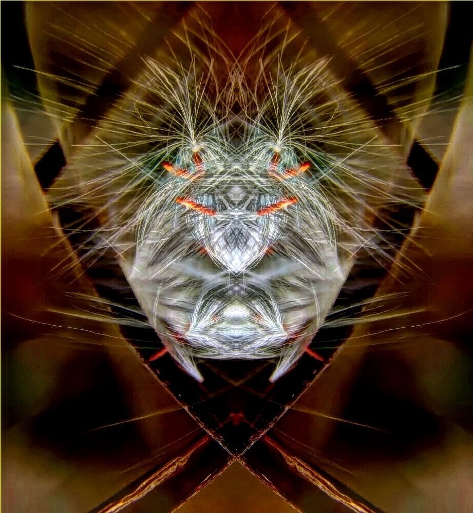 Synergistic Beetle