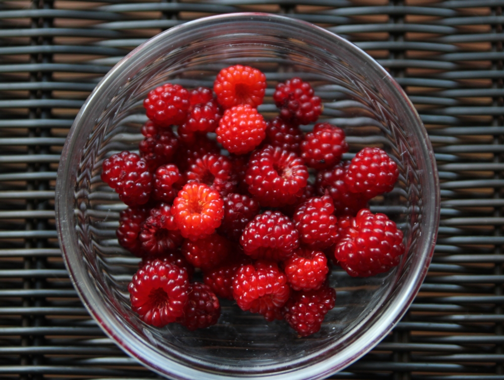 Wild Raspberries