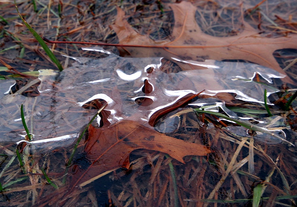 Ice Patterns II