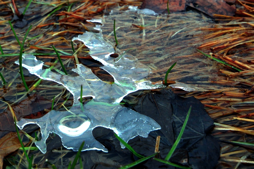 Ice Patterns III