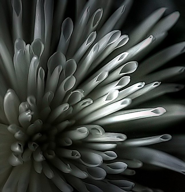Snowball Mum