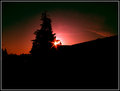 Early Morning Rise
