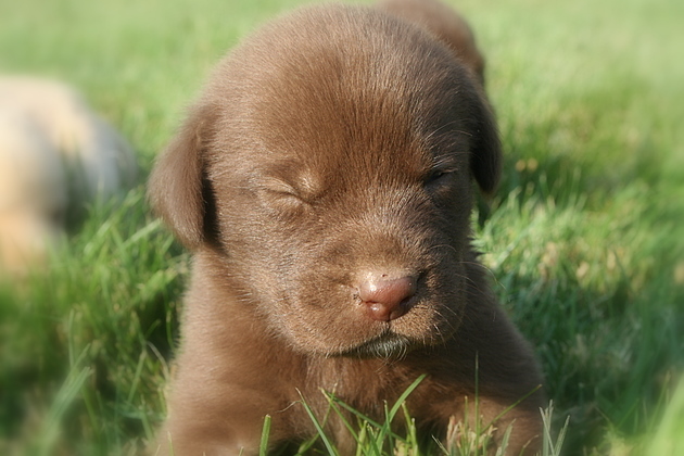 Wink!