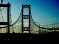 Tacoma Narrows