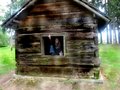 Cabin