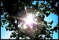 shine on