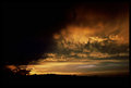 another sky photo
