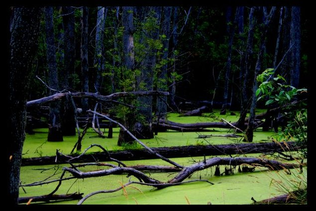 permanent inundation