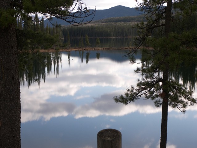 Mirror Image