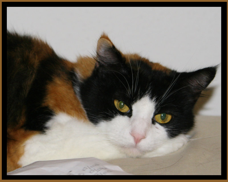 Patches