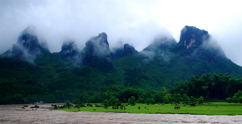 Where The Water Buffalo Roam