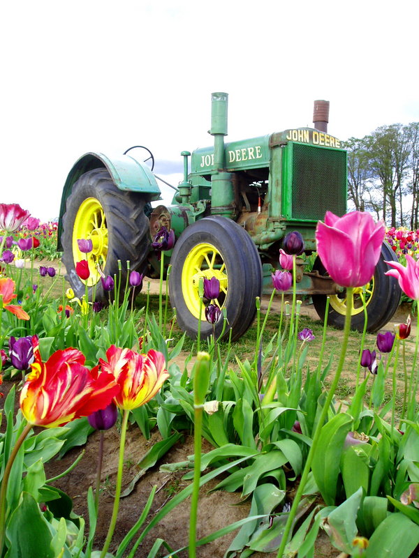 ON THE FARM.jpg