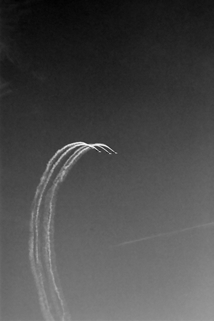 Head of the cobra