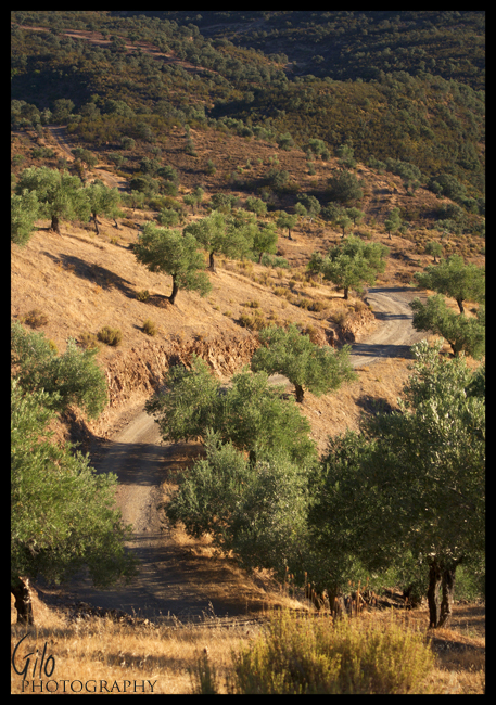 Spanish Countryside