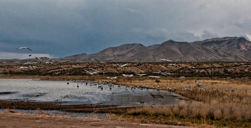 DSC_1618-Edit.jpg