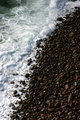 coffee beans.jpg