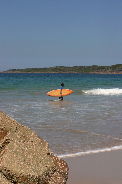 surfer.jpg
