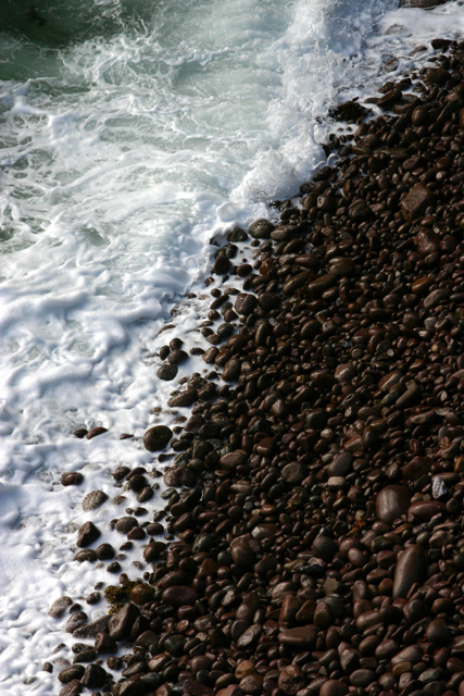 coffee beans.jpg