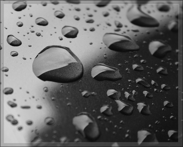 b&w raindrops.jpg