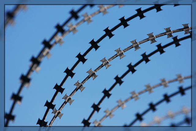 razor wire.jpg