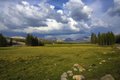 Tuolumne Meadows