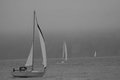 Sail away! Sail Away! Sail Away!