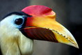 Colorful one posing