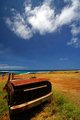 Living the final days at the beach