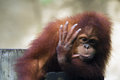 Talk to the hand