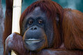 Hey good looking..looking for love?