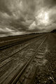 Runaway train, never coming back...