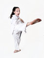 Roundhouse kick