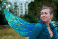 A faerie gone a rye!