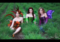 Three Local Fairies