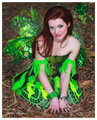 Cute Little Fairy