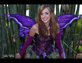 Excited to pixie dust you