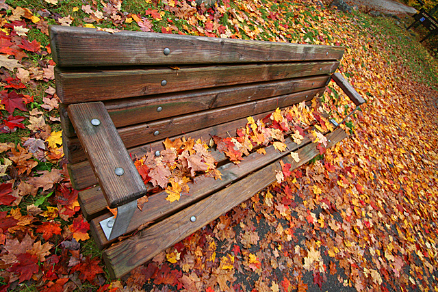 The Bench of time