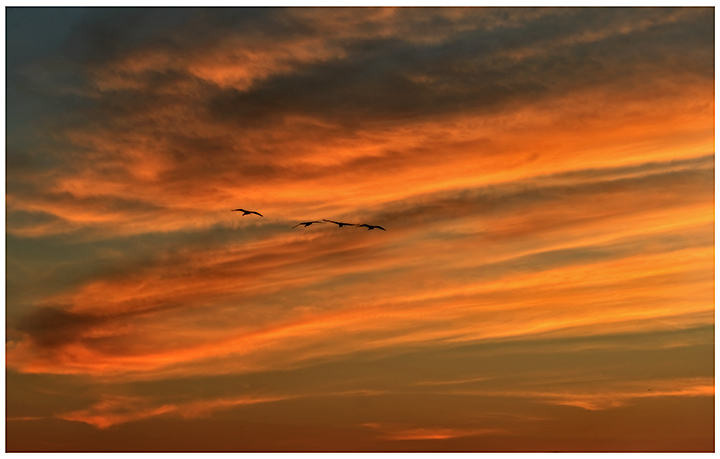 Nature's jets