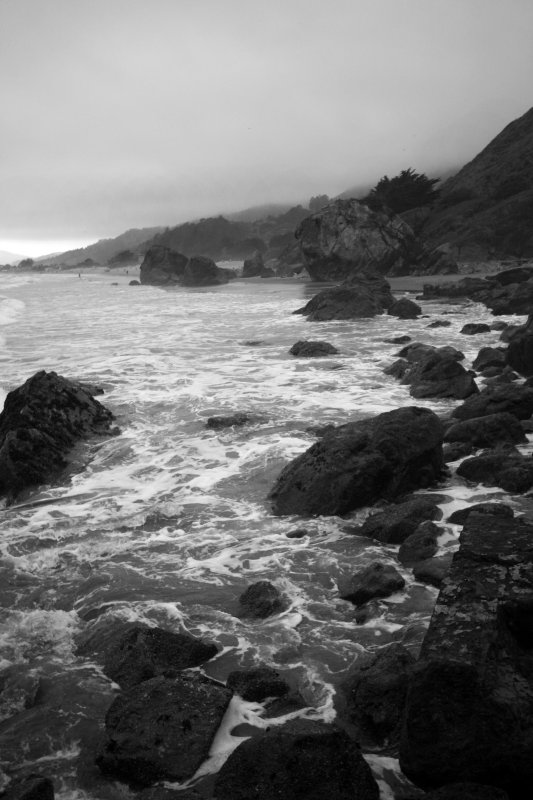 Foggy day by the coast
