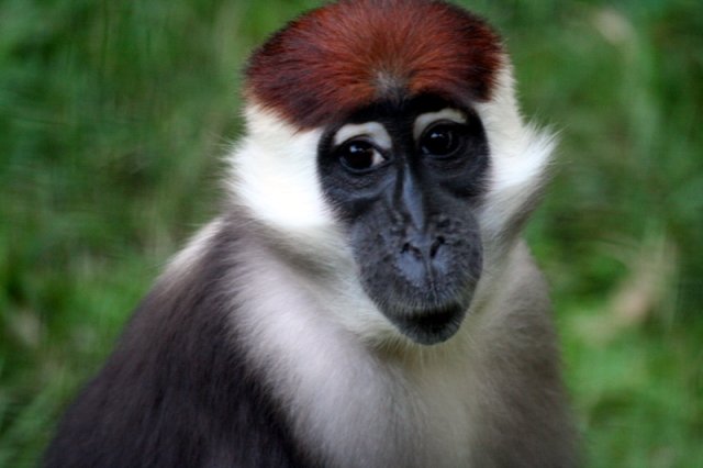 Don't I look pretty?