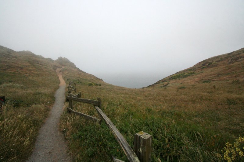 A foggy day at Point Reyes