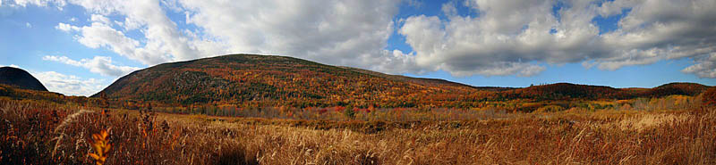 Acadia national park in the fall