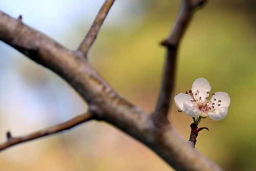 Even the smallest stand out sometimes