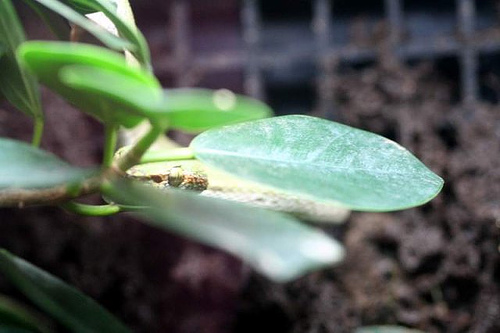 I see you!