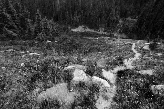 Follow down the path