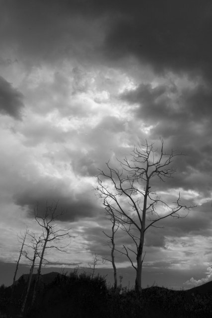 Desolate