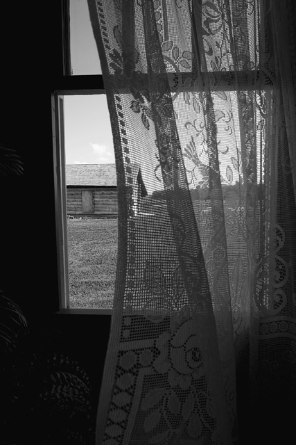 Peeking through