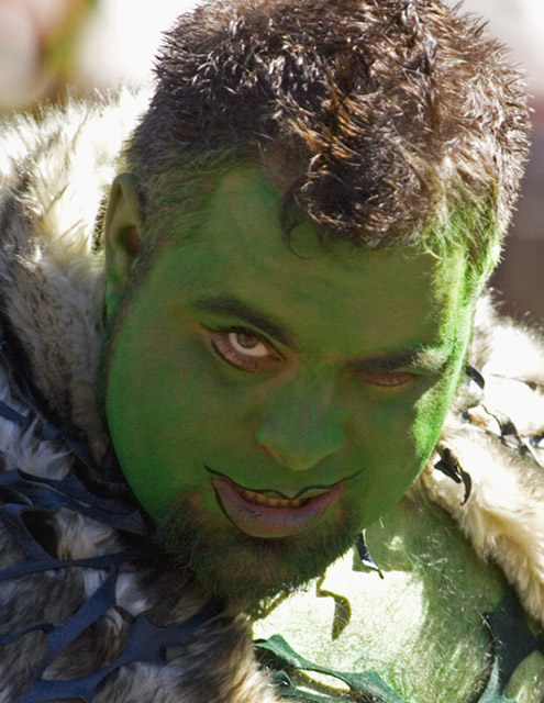Mr Shrek likes you